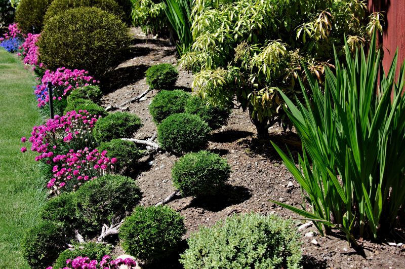 Bush Replacement in Ventura County, CA